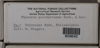 Image Associated With the Occurence